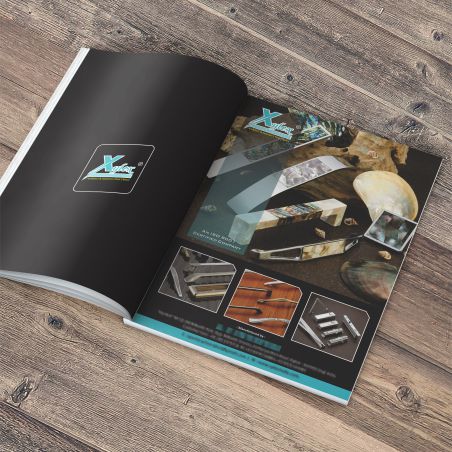 Aalekh Designs Rajkot - Xylex India Advertisement-3